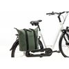 Odense Kota - Verde